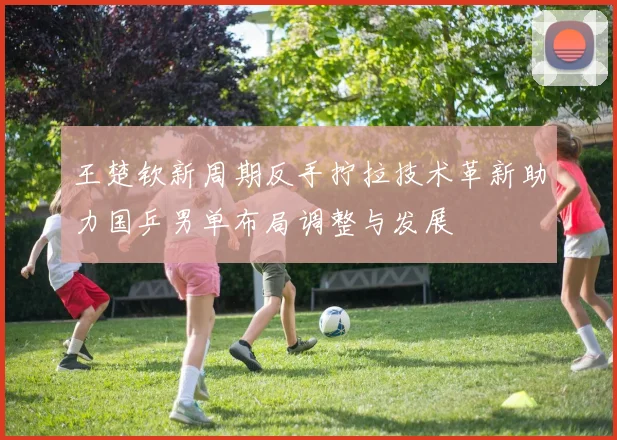 王楚钦新周期反手拧拉技术革新助力国乒男单布局调整与发展